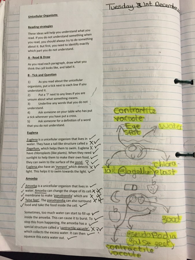 Comprehension strategy in use