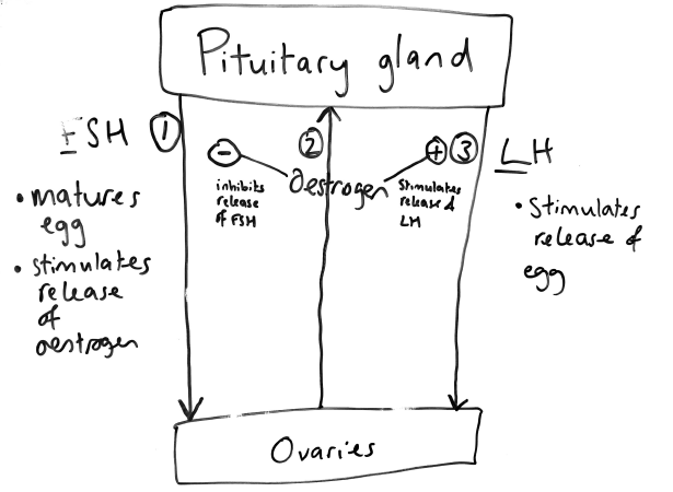 Screen shot 2017-05-13 at 14.54.17