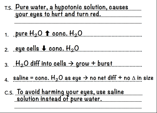 SINGLE PARAGRAPH OUTLINE